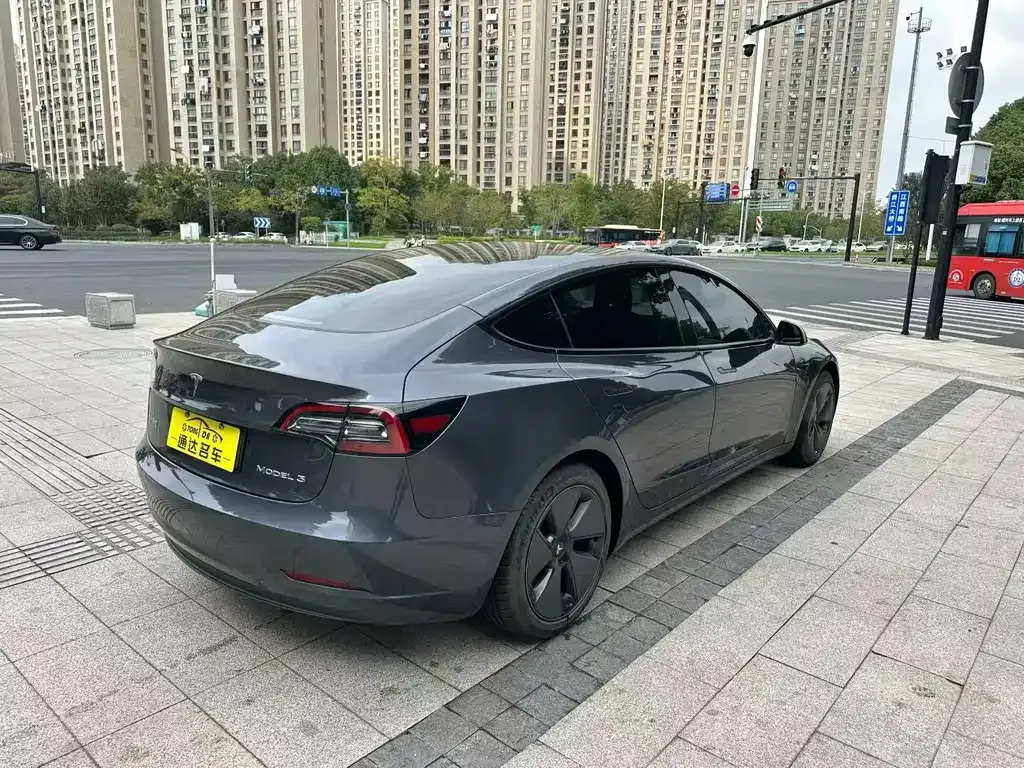 Tesla Model 3 2021 из CN, фото 7