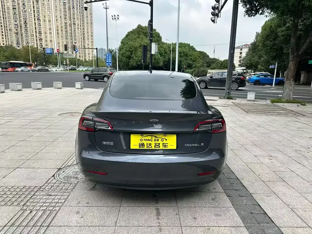 Tesla Model 3 2021 из CN, фото 9