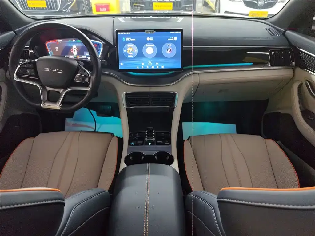 BYD PLUS New Energy — фото 10