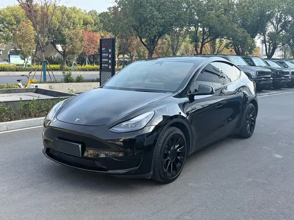 Tesla Model Y 2023 из CN, фото 1