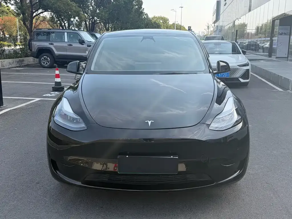 Tesla Model Y 2023 из CN, фото 2