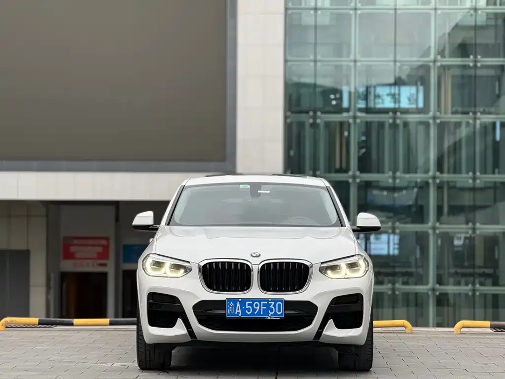 BMW X4 2021 из CN, фото 2