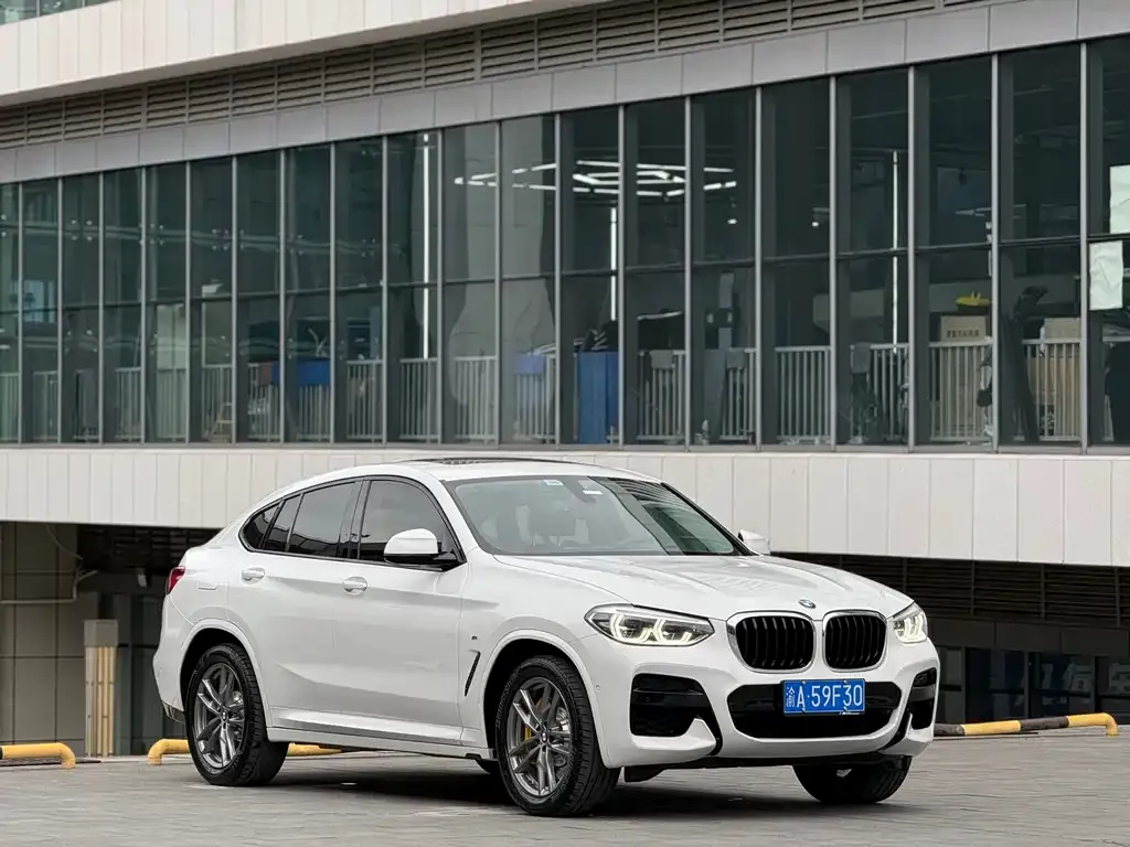 BMW X4 2021 из CN, фото 3