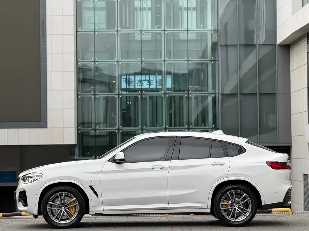 BMW X4 2021 из CN, фото 4