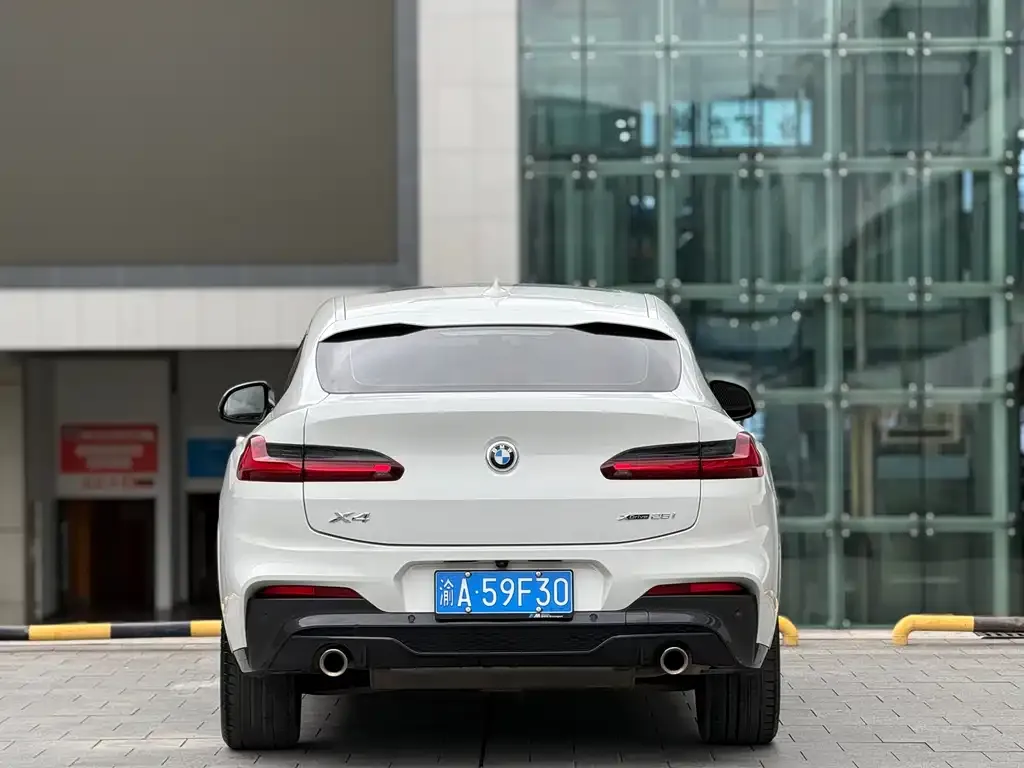 BMW X4 2021 из CN, фото 6
