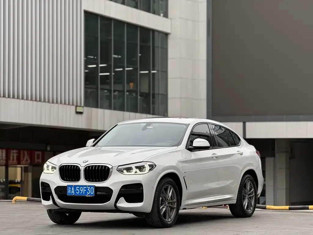 BMW X4 2021 из CN, фото 7