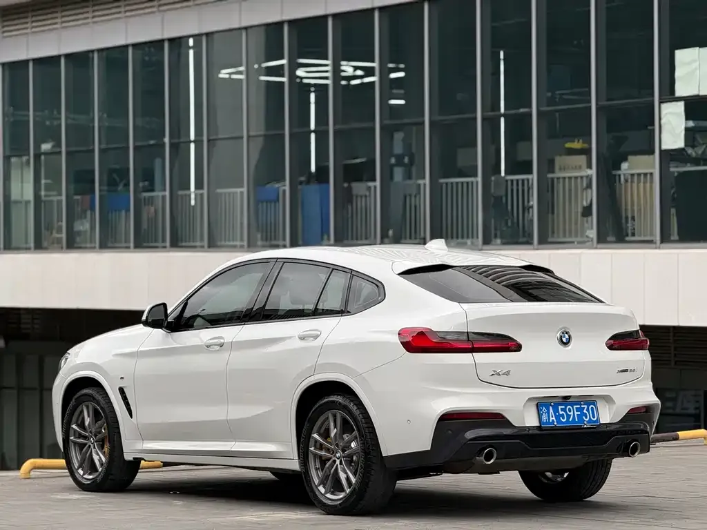 BMW X4 2021 из CN, фото 8