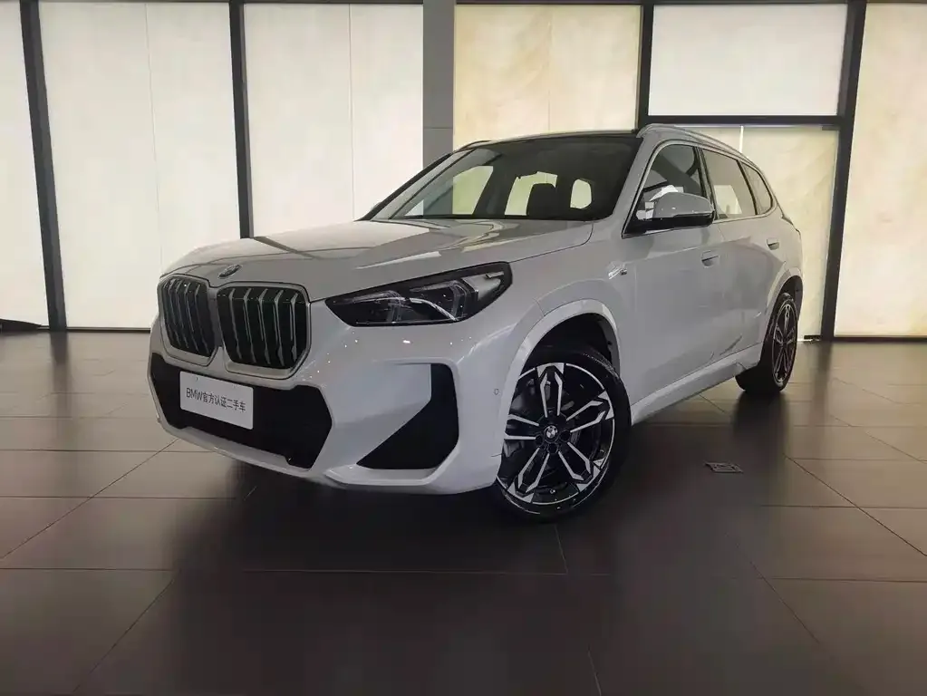 BMW X1 — фото 1