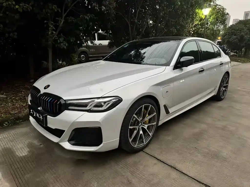 BMW 5 Series New Energy 2022 из CN, фото 1