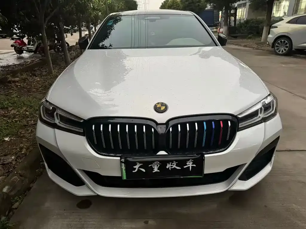 BMW 5 Series New Energy 2022 из CN, фото 2