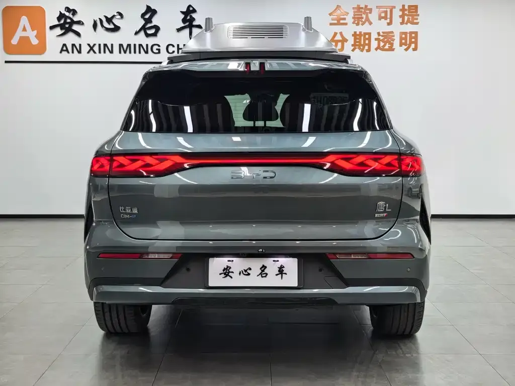 BYD Tang L — фото 4