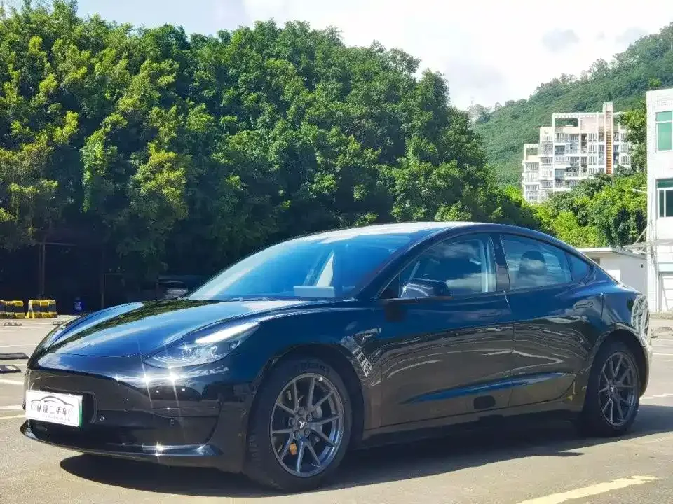 Tesla Model 3 2021 из CN, фото 1