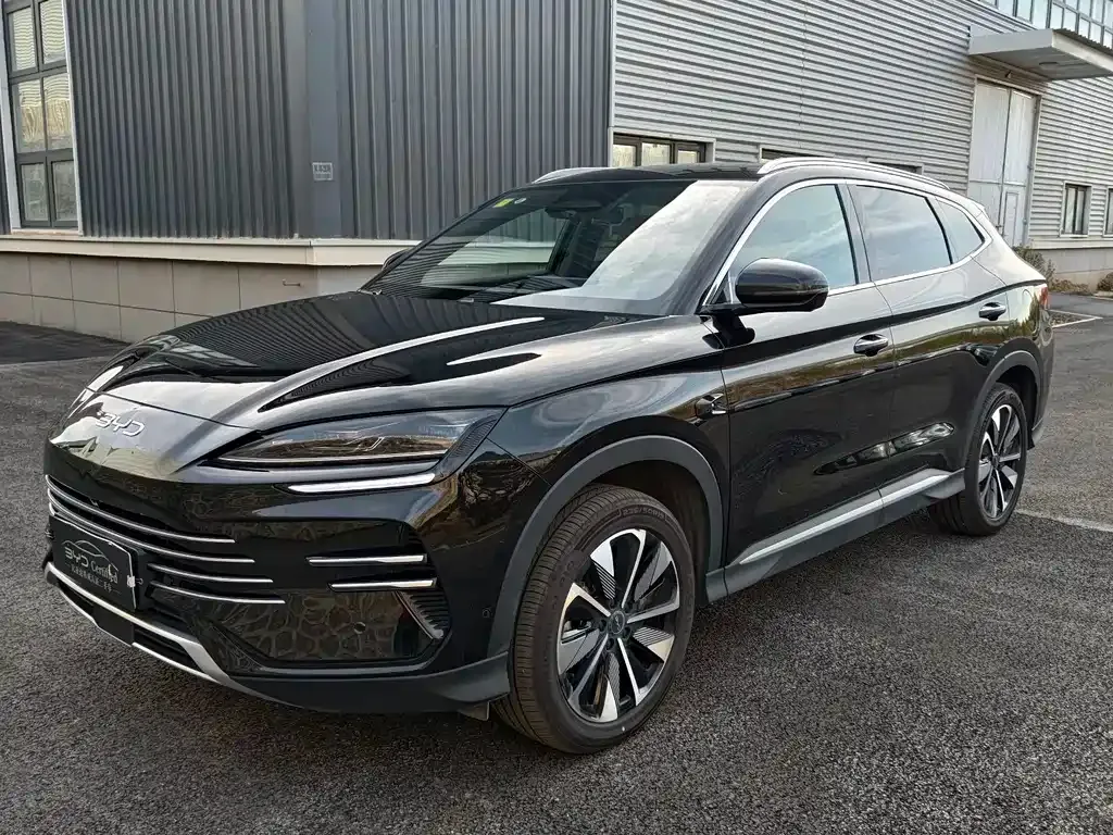 BYD PLUS New Energy 2025 из CN, фото 1