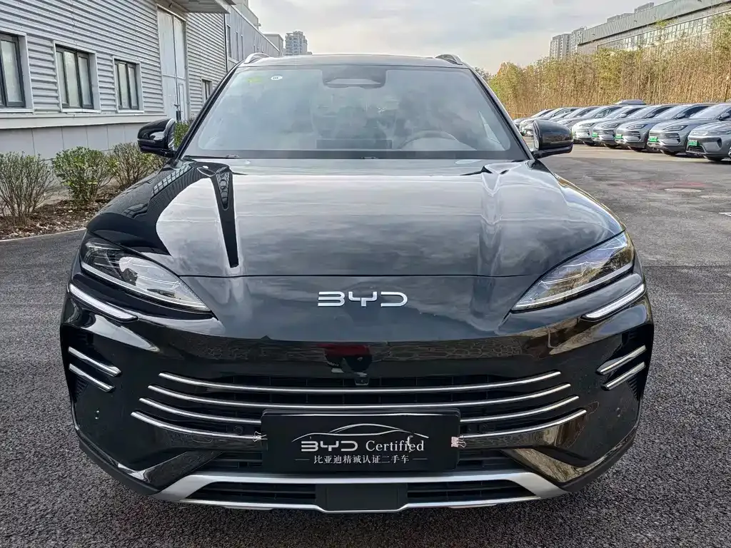 BYD PLUS New Energy 2025 из CN, фото 2