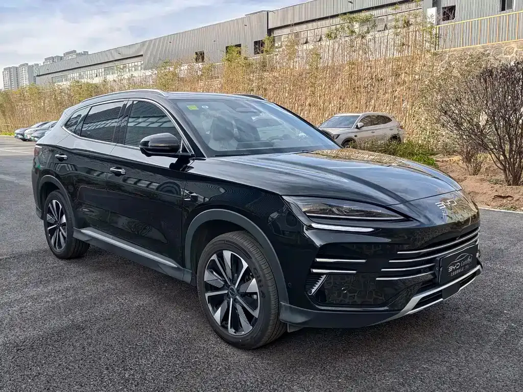 BYD PLUS New Energy 2025 из CN, фото 3