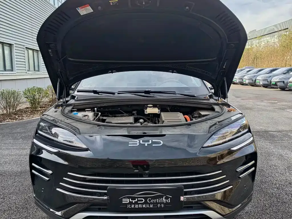 BYD PLUS New Energy 2025 из CN, фото 4