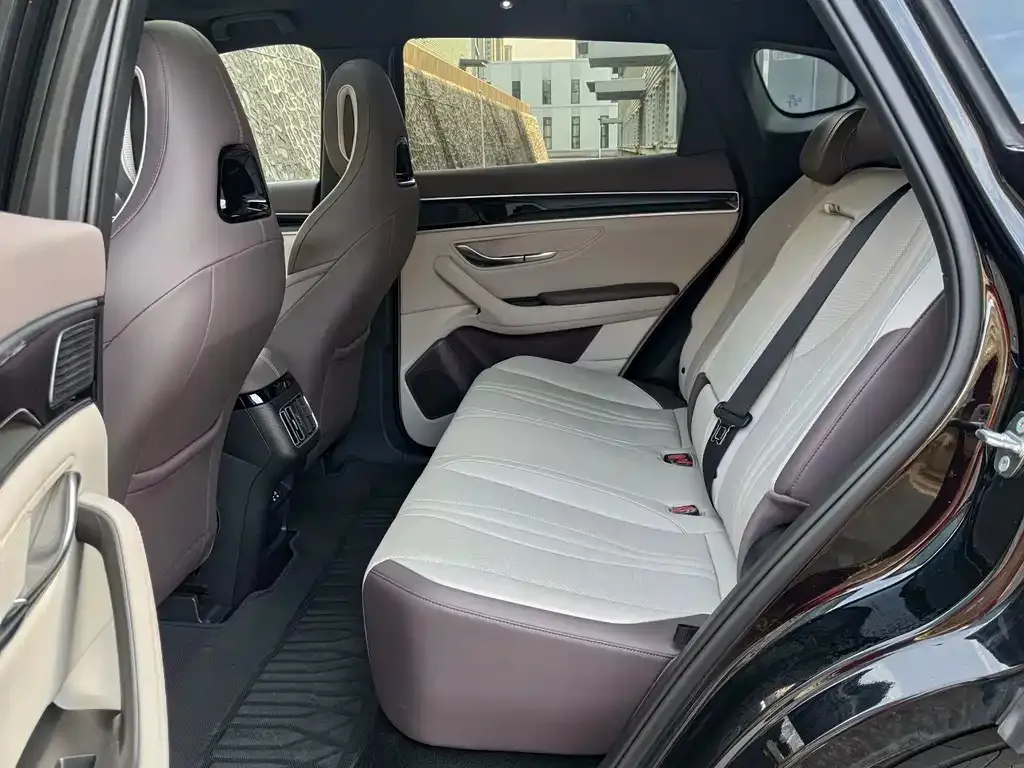 BYD PLUS New Energy 2025 из CN, фото 8