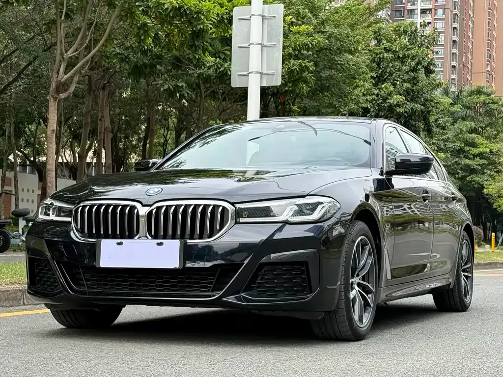 BMW 5 Series New Energy — фото 1