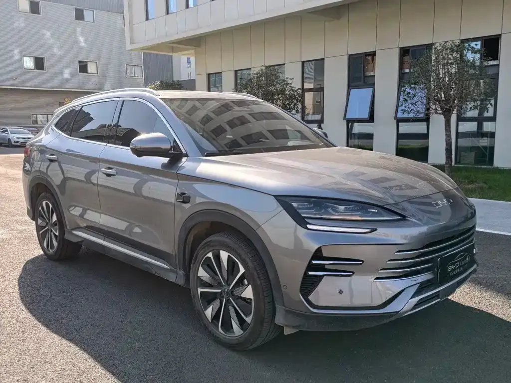 BYD PLUS New Energy 2025 из CN, фото 3
