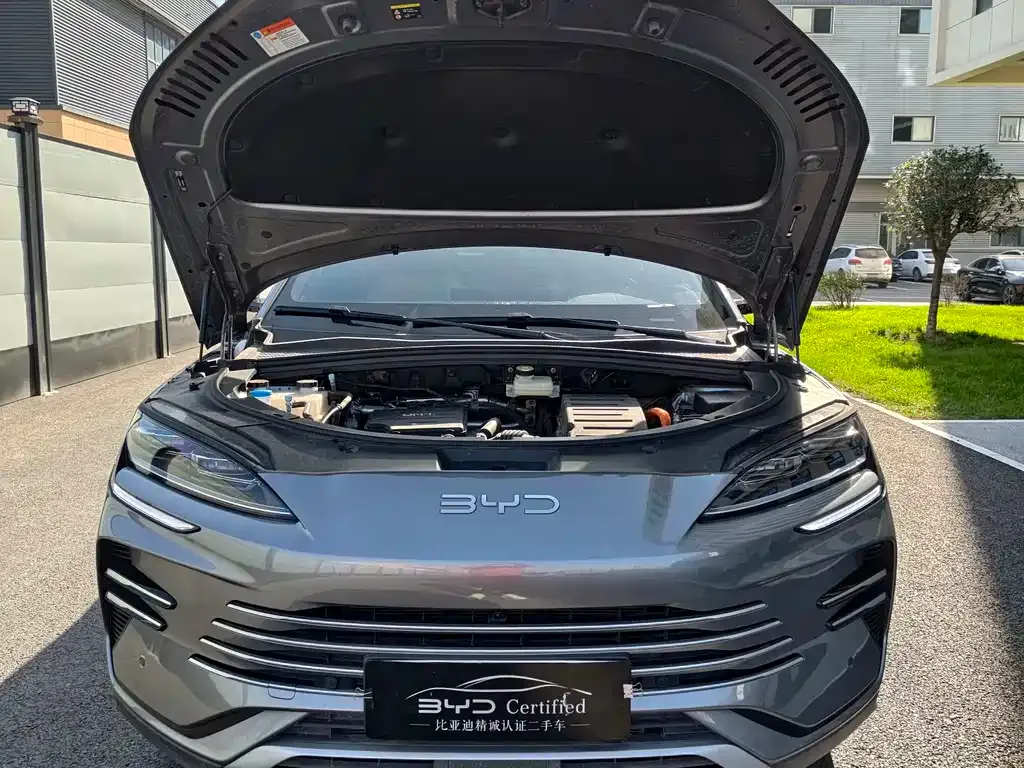 BYD PLUS New Energy 2025 из CN, фото 4