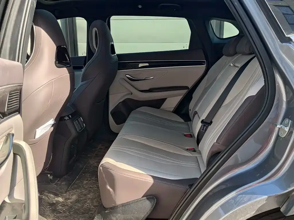 BYD PLUS New Energy 2025 из CN, фото 8
