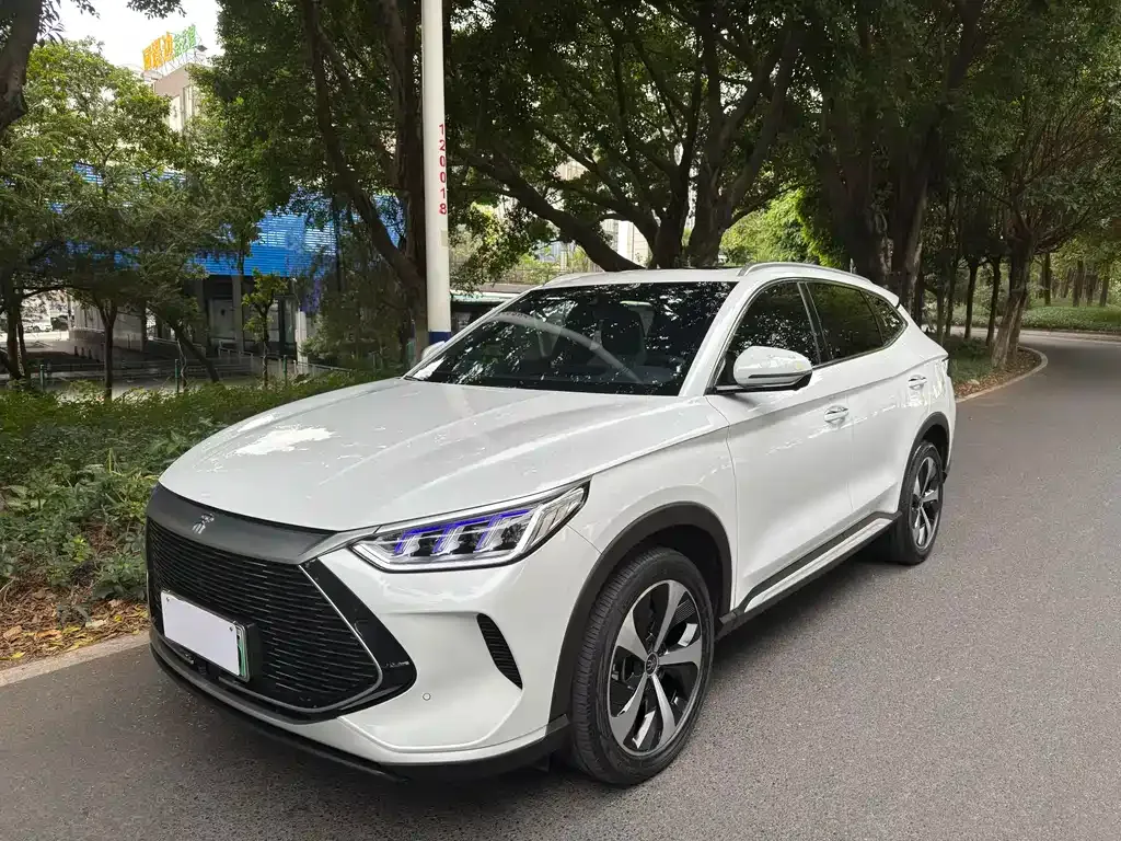 BYD PLUS New Energy — фото 1