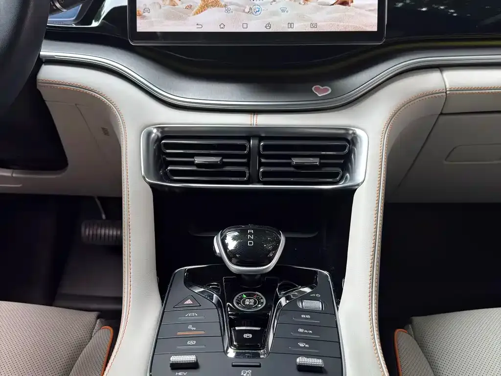 BYD PLUS New Energy — фото 10