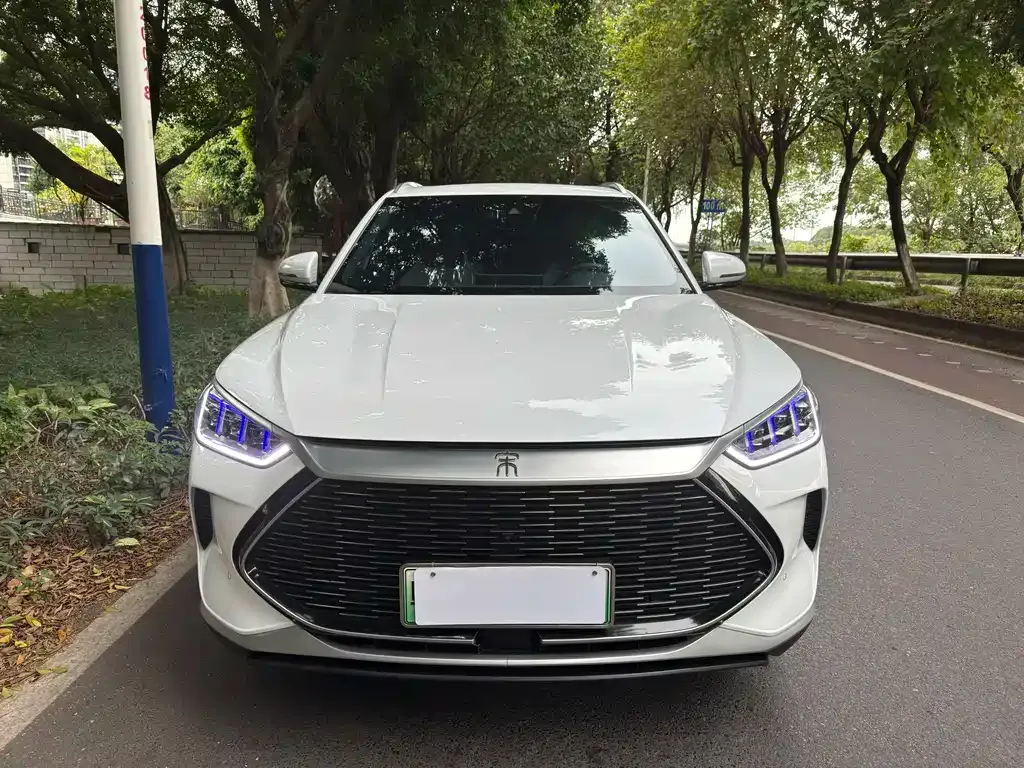 BYD PLUS New Energy — фото 3