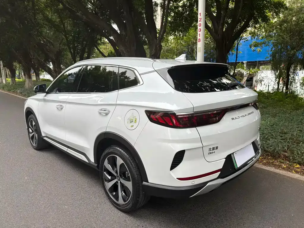 BYD PLUS New Energy — фото 6