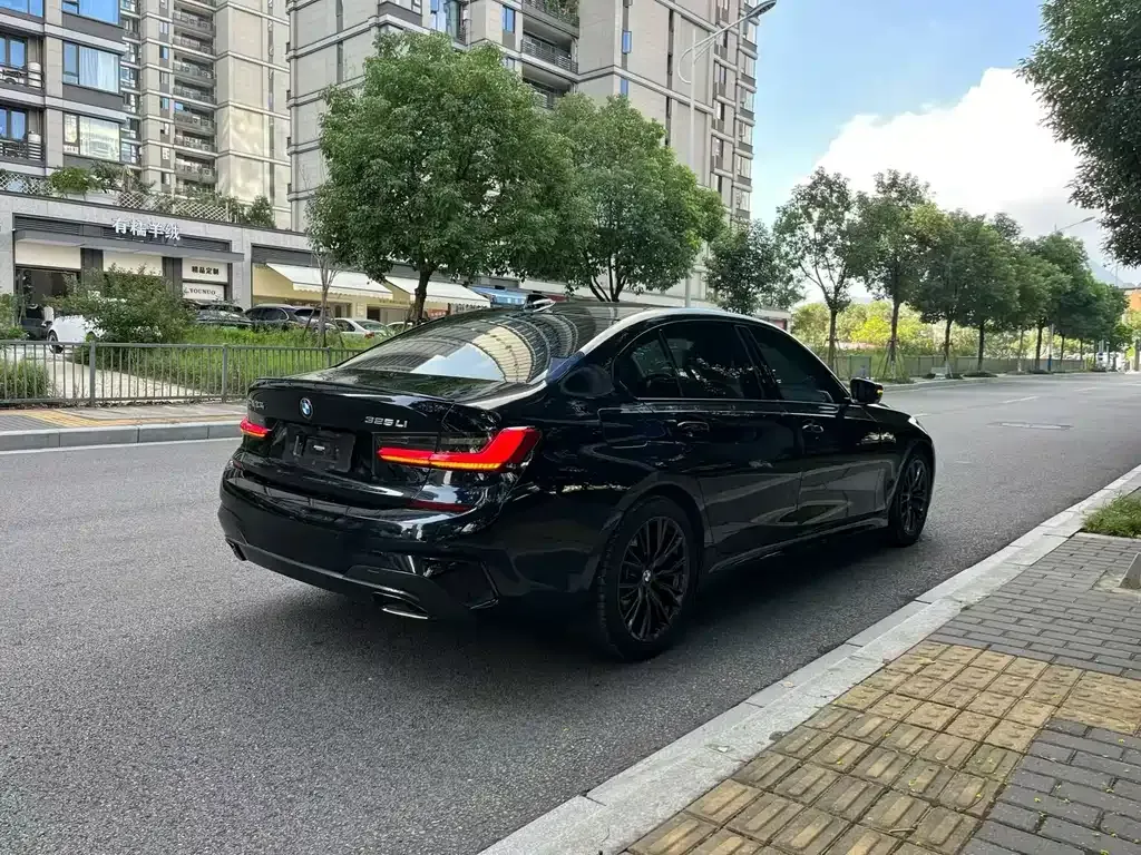 BMW 3 Series 2021 из CN, фото 6