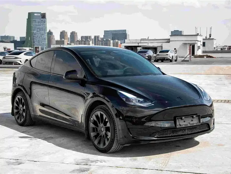 Tesla Model Y — фото 3