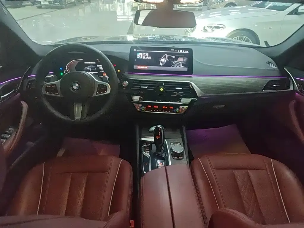 BMW 5 Series 2022 из CN, фото 10