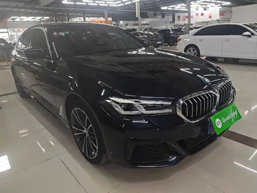 BMW 5 Series 2022 из CN, фото 4