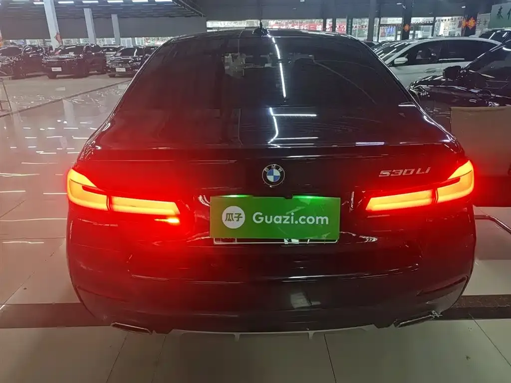 BMW 5 Series 2022 из CN, фото 6