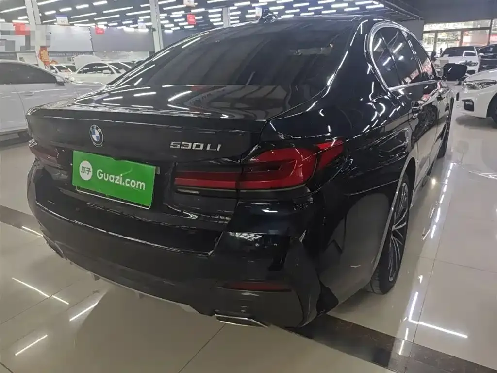 BMW 5 Series 2022 из CN, фото 7