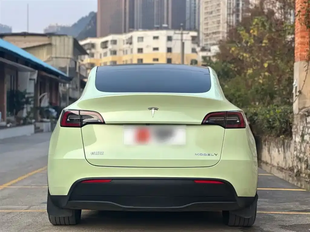 Tesla Model Y 2024 из CN, фото 6