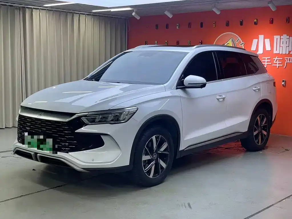 BYD Pro New Energy 2024 из CN, фото 1