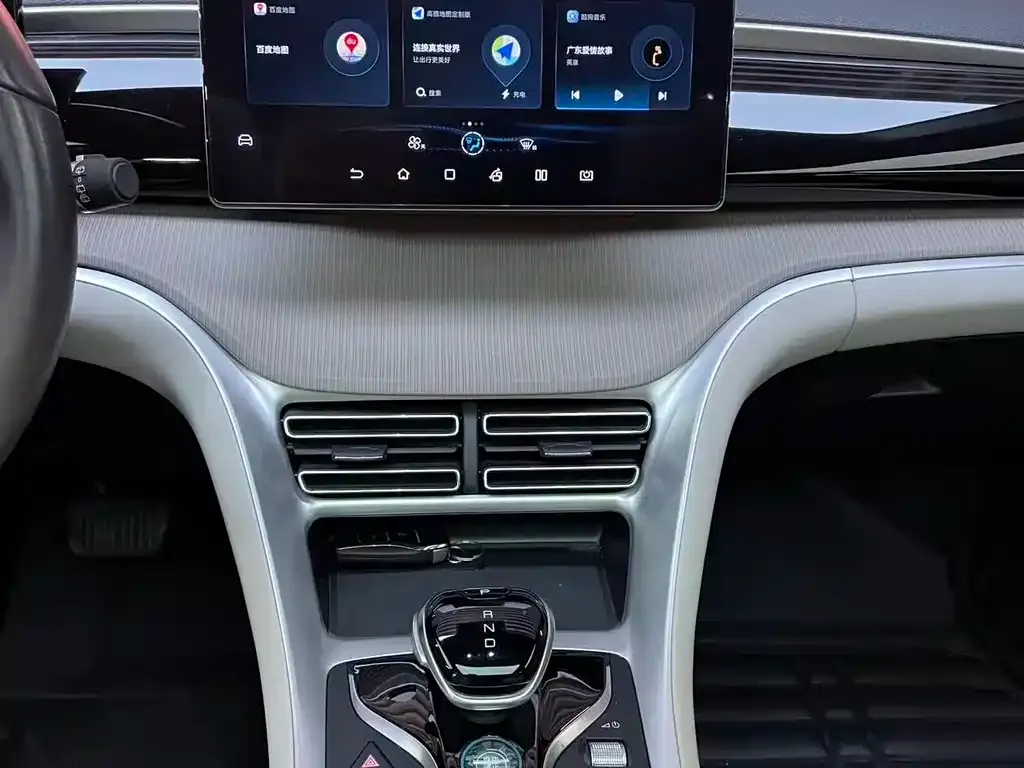 BYD Pro New Energy 2024 из CN, фото 10