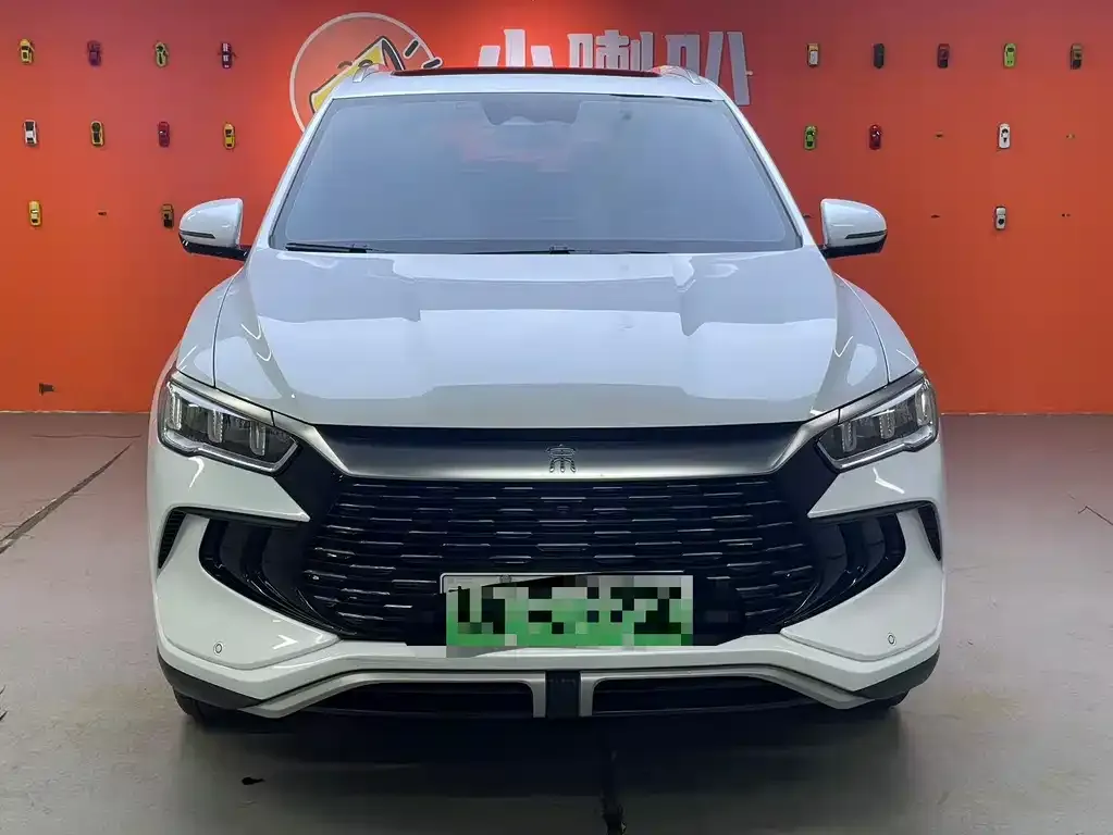 BYD Pro New Energy 2024 из CN, фото 2