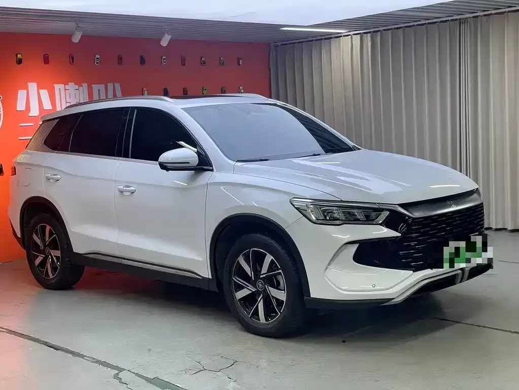 BYD Pro New Energy 2024 из CN, фото 3
