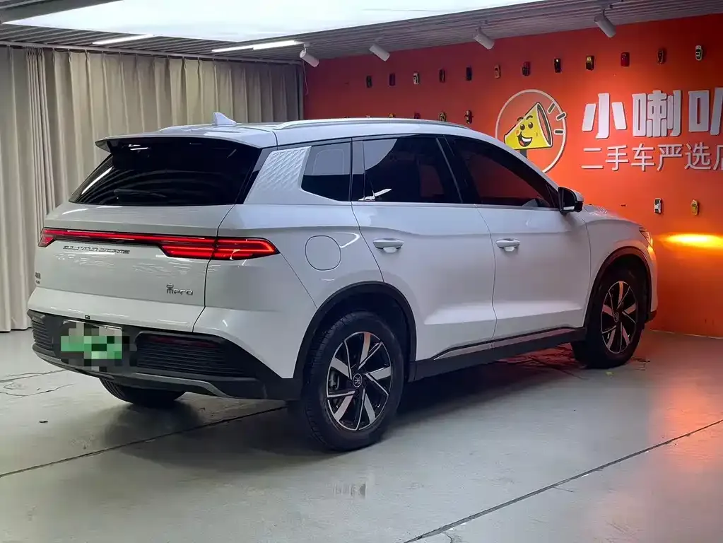 BYD Pro New Energy 2024 из CN, фото 4