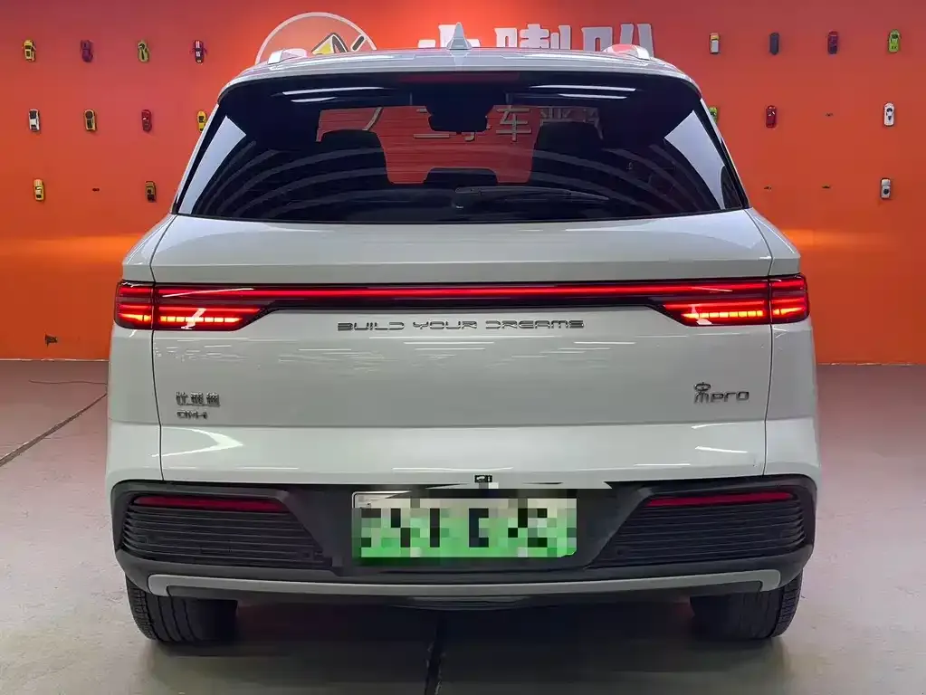BYD Pro New Energy 2024 из CN, фото 5
