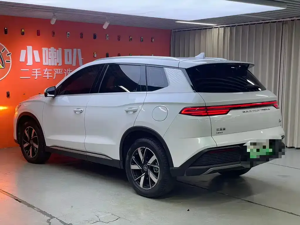 BYD Pro New Energy 2024 из CN, фото 6