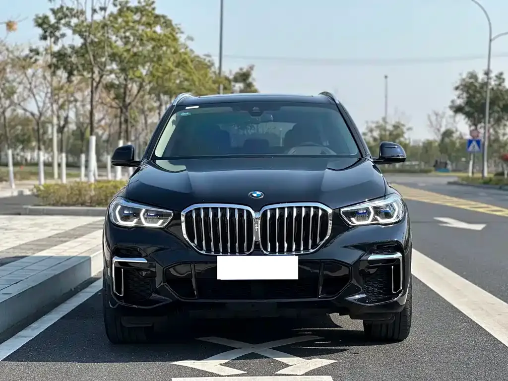 BMW X5 2023 из CN, фото 2