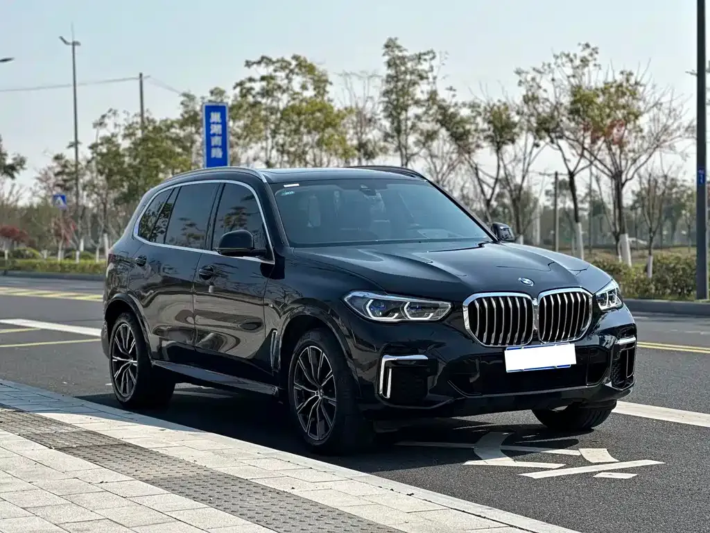 BMW X5 2023 из CN, фото 3