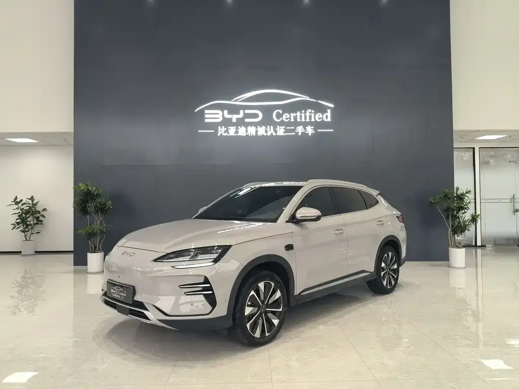 BYD PLUS New Energy 2025 из CN, фото 1