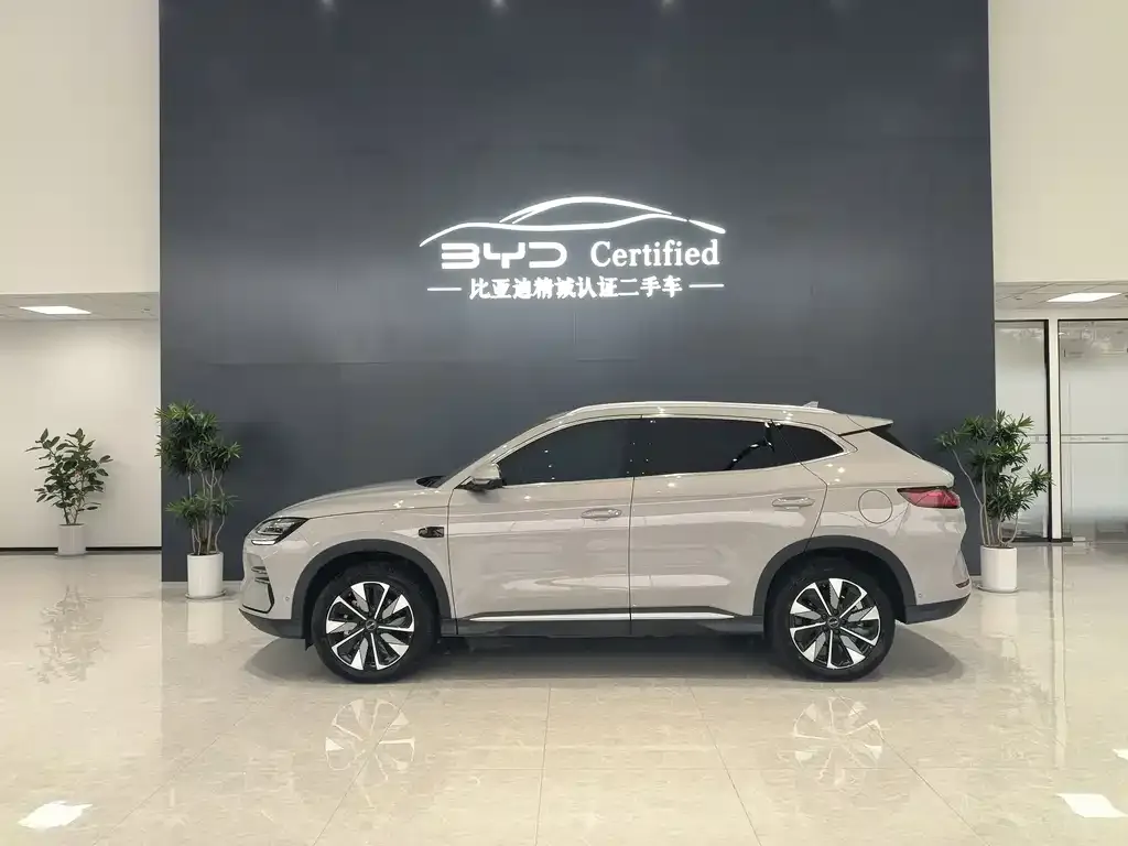 BYD PLUS New Energy 2025 из CN, фото 2