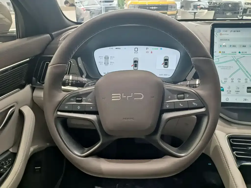 BYD PLUS New Energy 2025 из CN, фото 8