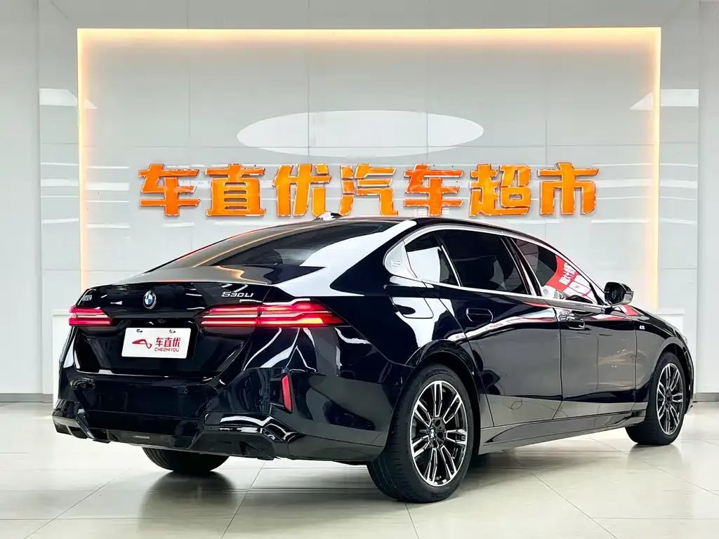 BMW 5 Series 2024 из CN, фото 5