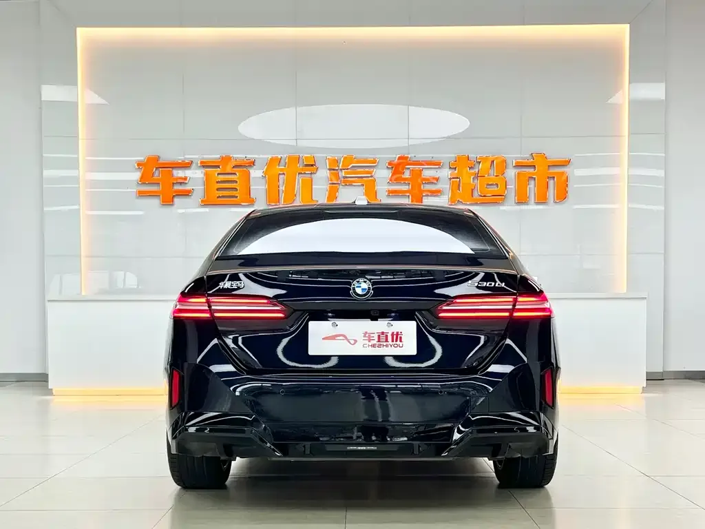 BMW 5 Series 2024 из CN, фото 6